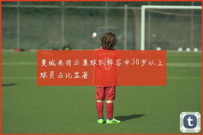 曼城老将云集球队阵容中30岁以上球员占比显著