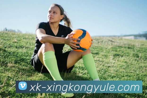 星空娱乐平台生态图